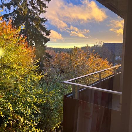 Moderne Und Zentral Gelegene Ferienwohnung In Braunlage Mit Rodelpiste Und Start Ski Langlauf In 300 Metern Entfernung 外观 照片