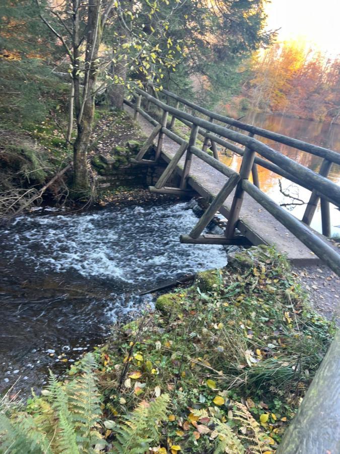 Moderne Und Zentral Gelegene Ferienwohnung In Braunlage Mit Rodelpiste Und Start Ski Langlauf In 300 Metern Entfernung 外观 照片