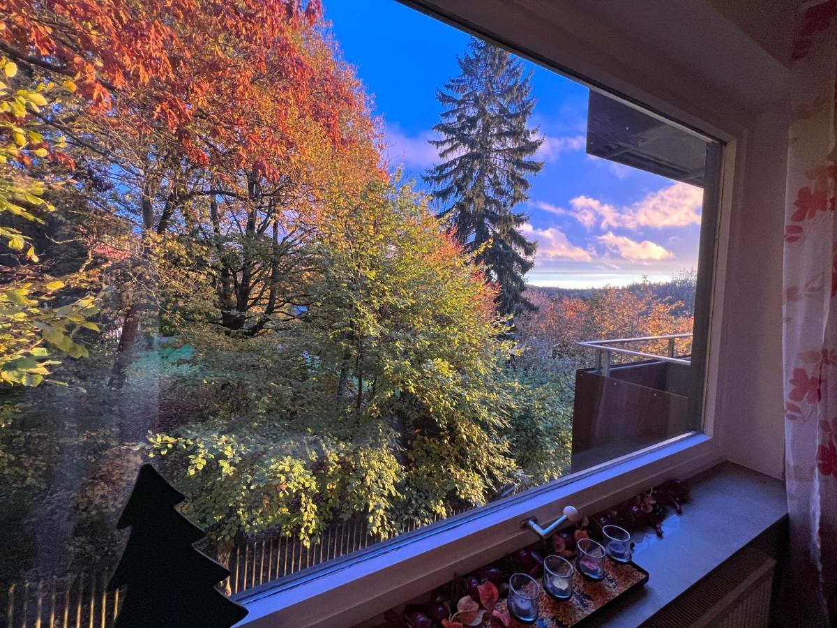 Moderne Und Zentral Gelegene Ferienwohnung In Braunlage Mit Rodelpiste Und Start Ski Langlauf In 300 Metern Entfernung 外观 照片