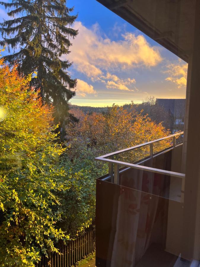 Moderne Und Zentral Gelegene Ferienwohnung In Braunlage Mit Rodelpiste Und Start Ski Langlauf In 300 Metern Entfernung 外观 照片