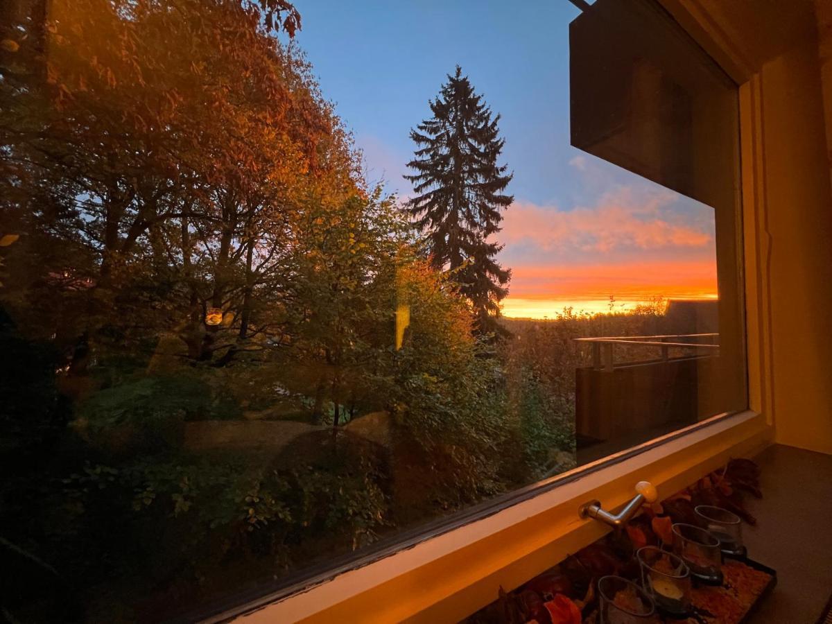 Moderne Und Zentral Gelegene Ferienwohnung In Braunlage Mit Rodelpiste Und Start Ski Langlauf In 300 Metern Entfernung 外观 照片